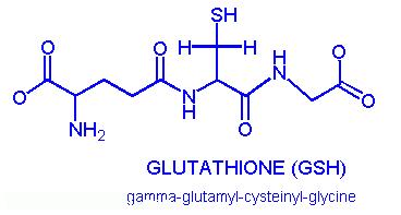 Glutathione
